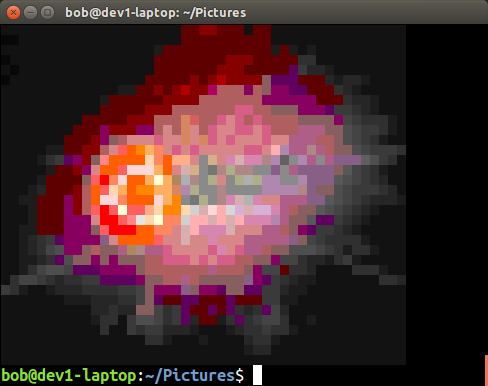 Screenshot #1